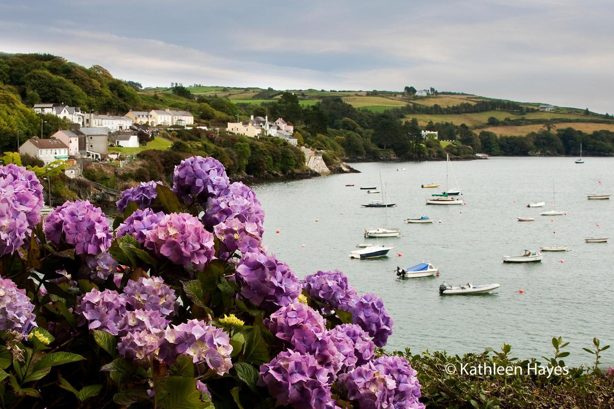 Bay View B&B Glandore Ruang foto